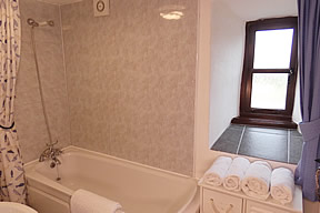 Bathroom with bath with shower over