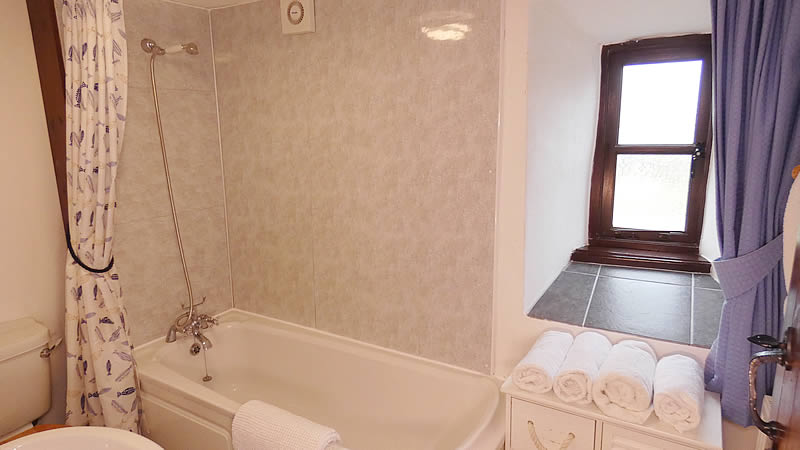 Bathroom with bath with shower over