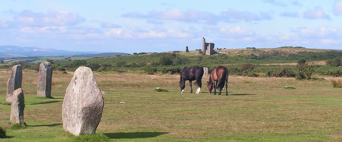 Ponies grazing at the Hurlers stone circle near Minions, Bodmin Moor