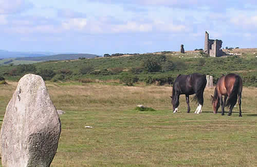 Ponies grazing by the Hurlers stone circle on Bodmin Moor